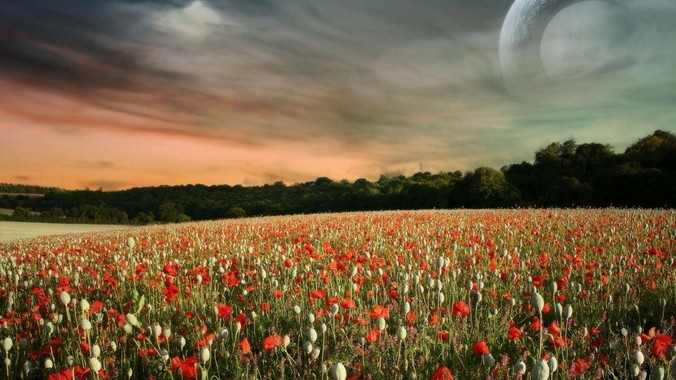 为什么说天下法术尽出江西？